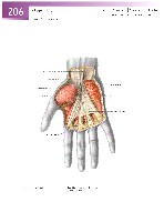 Sobotta Atlas of Human Anatomy  Head,Neck,Upper Limb Volume1 2006, page 213